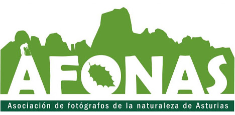 AFONAS - Asociación de Fotógrafos de Naturaleza de Asturias