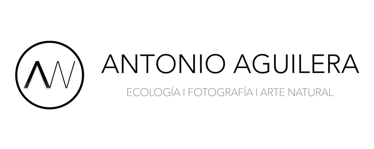 Antonio Aguilera - Galería de Arte Natural - Fotografía de Naturaleza y Vida Salvaje - Experiencias y Talleres de Fotografía