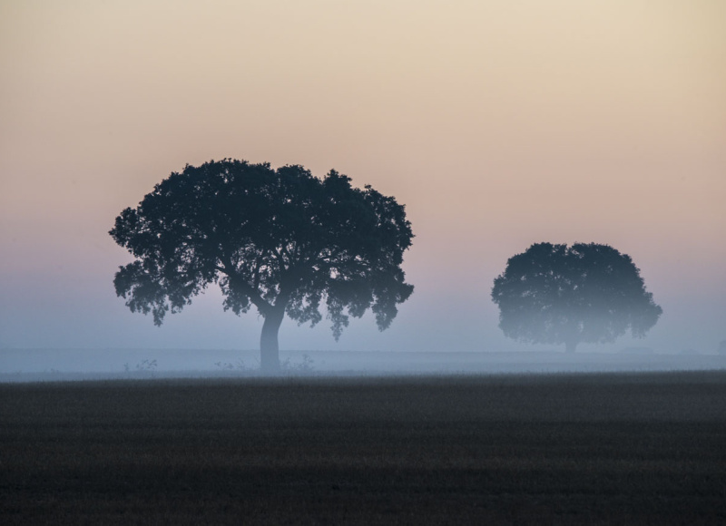 Time-Lapse