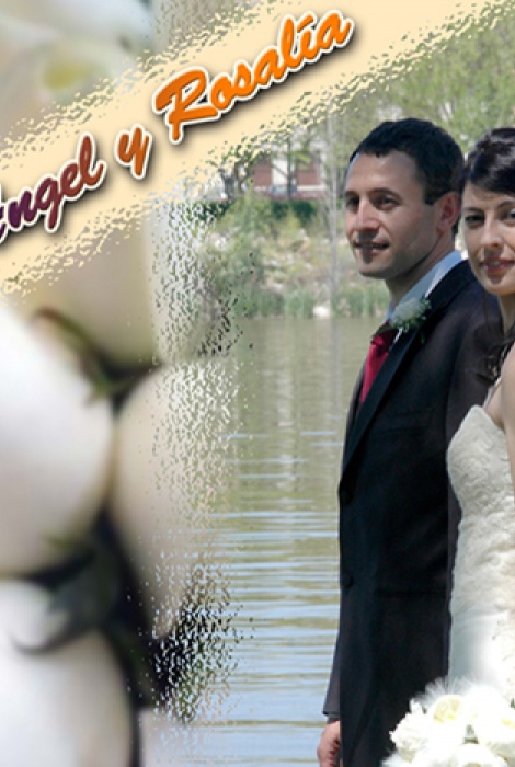 Jes&uacute;s &Aacute;ngel y Rosal&iacute;a, resumen