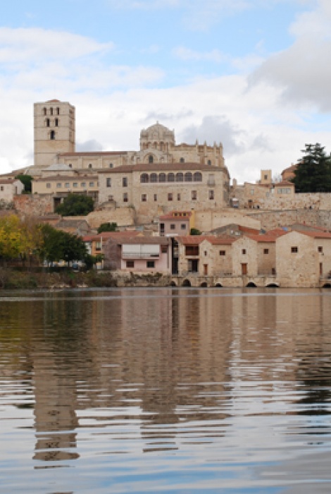 UN PASEO POR ZAMORA