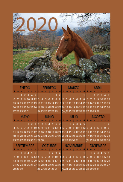 Calendario Magnético 2018