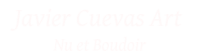 Javier Cuevas Art - Nu et Boudoir