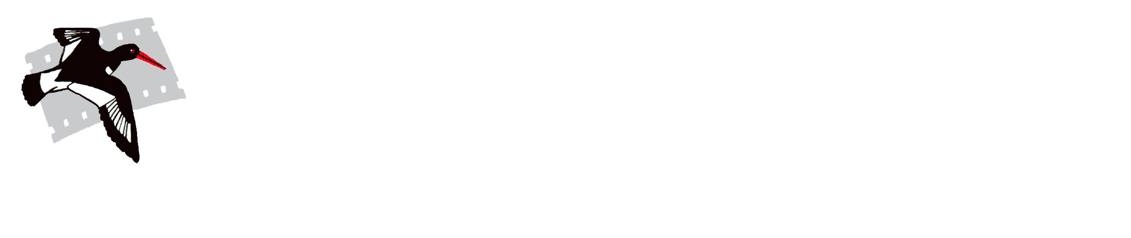José Luis Gómez de Francisco - Fotografía de la Naturaleza / Nature photography