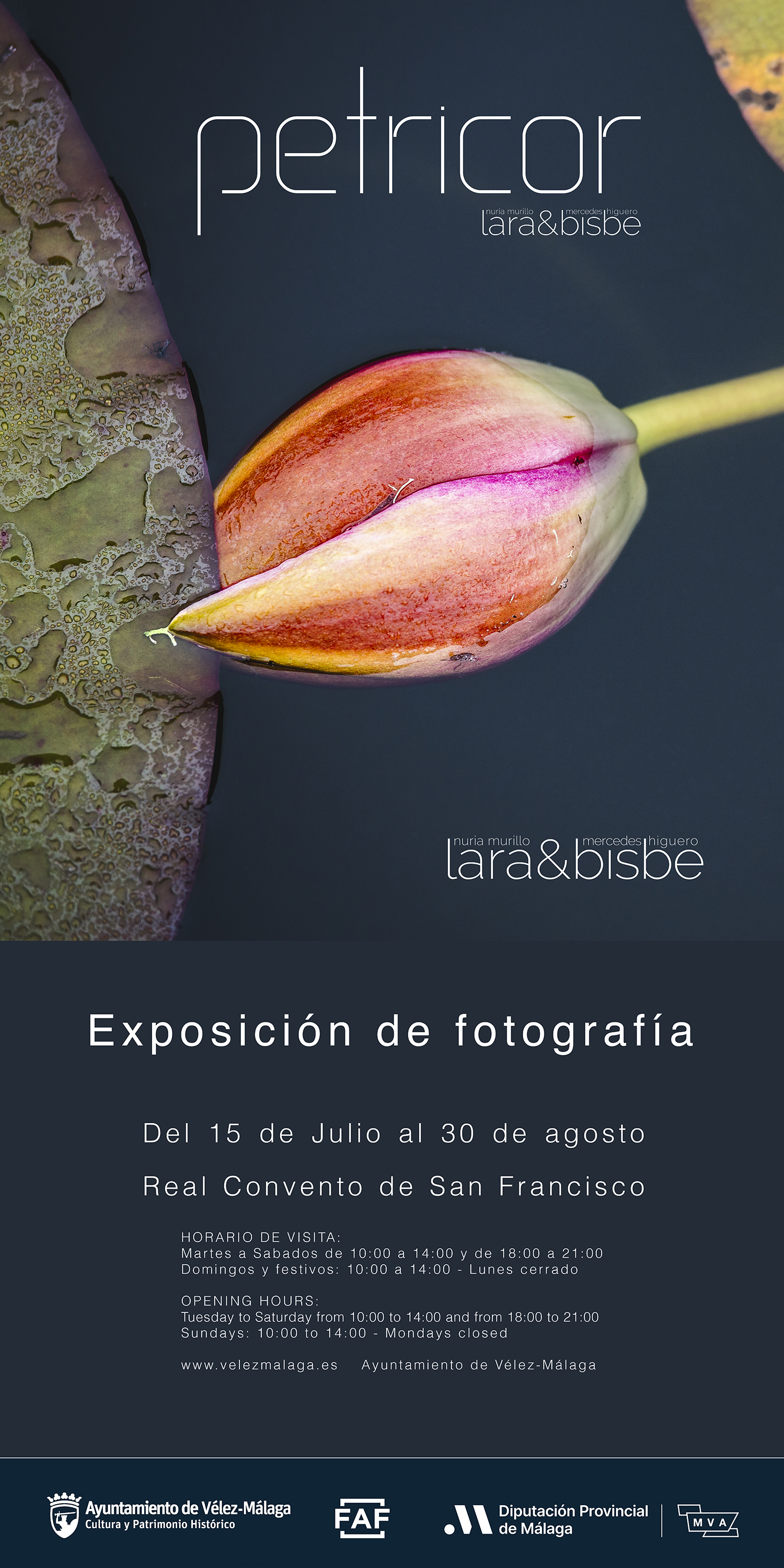 Inauguración 15 de julio a las 12h00