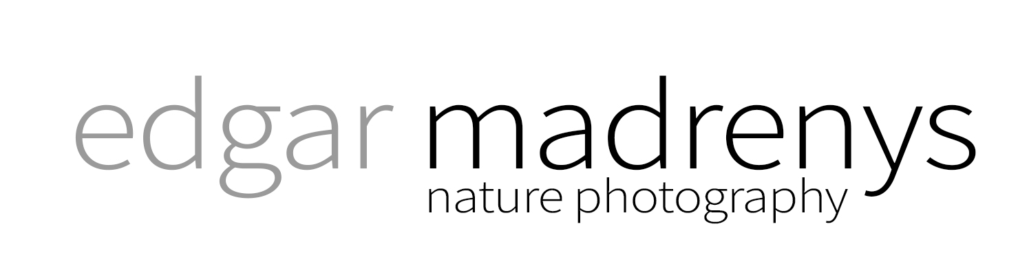 MADRENYS - PHOTOGRAPHY