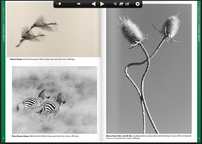 Black&White, my photo in this issue