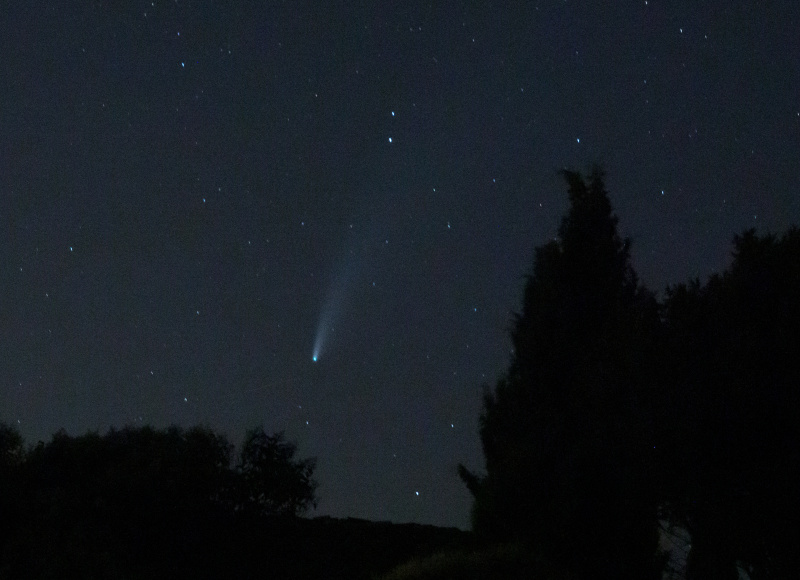 Cometa Neowise