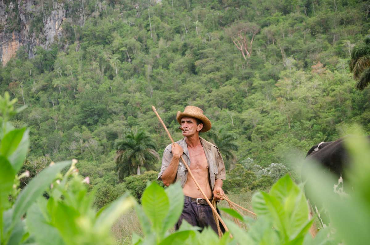 photo of cuban farm in a tobacco countryside tours.jpg