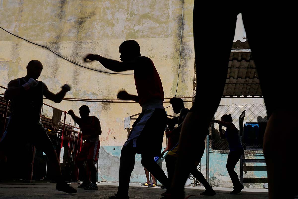 shadow in a boxing photo section.jpg