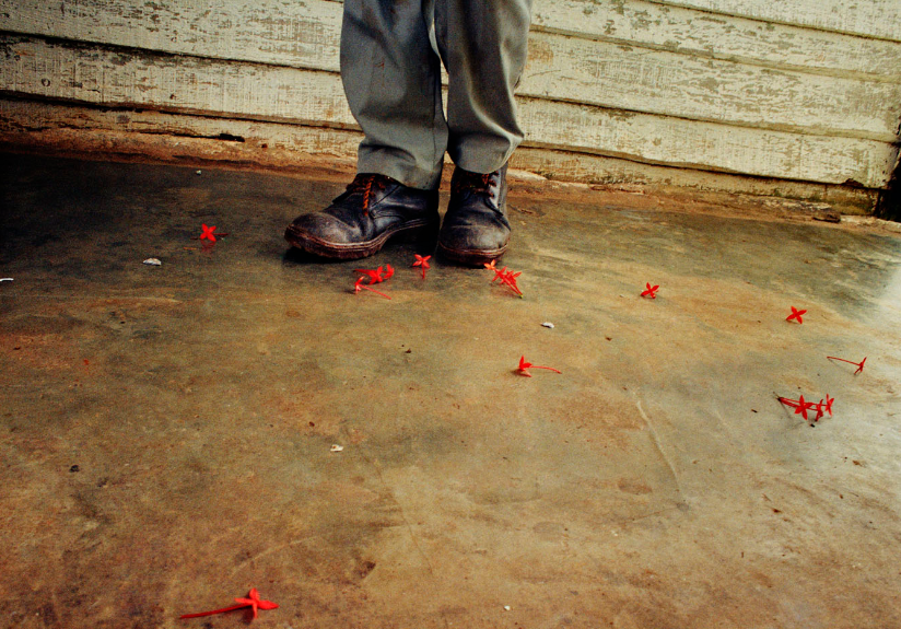 cuban photography of a shoes with flowers by Ernesto Bazan