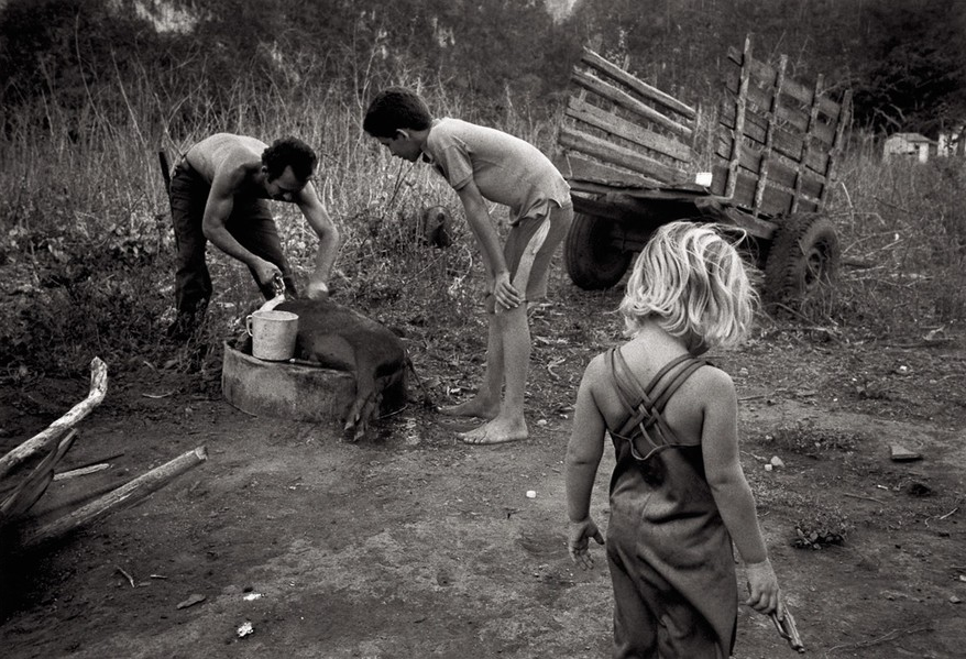 people in the cuban countryside by Susan Bank