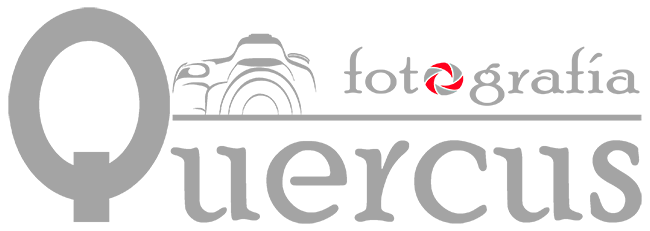 Quercus Fotografia - Fotógrafo de Boda en Badajoz - Cáceres - Extremadura