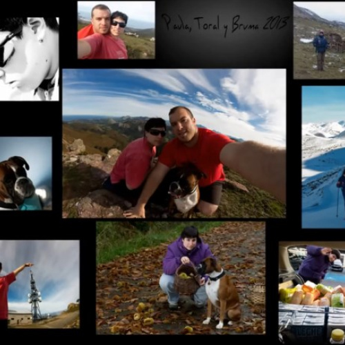 Resumen 2013