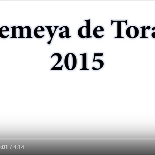Resumen 2015