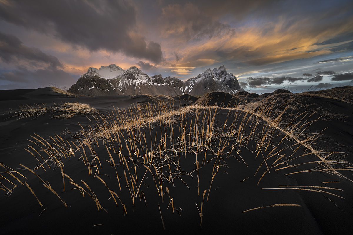 Glanzlichter 2025. Magnificent Wilderness Highly Commended