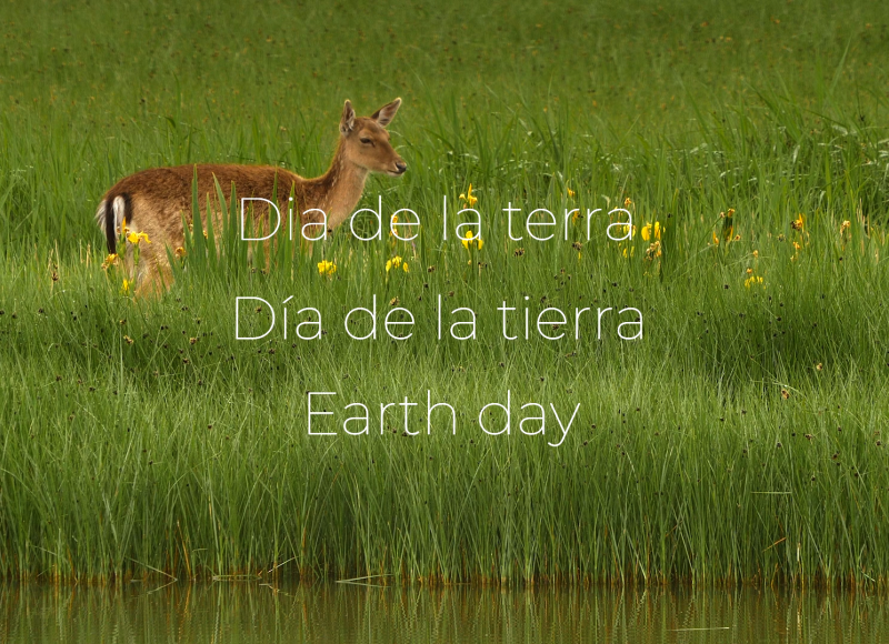 DIA DE LA TERRA